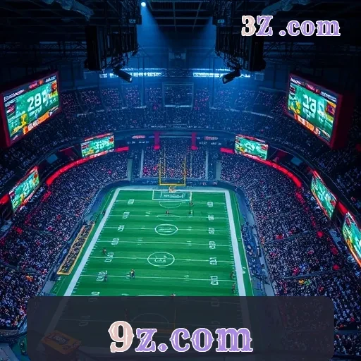 9z.com VIP